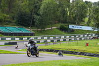 Lower Group Blue Bikes